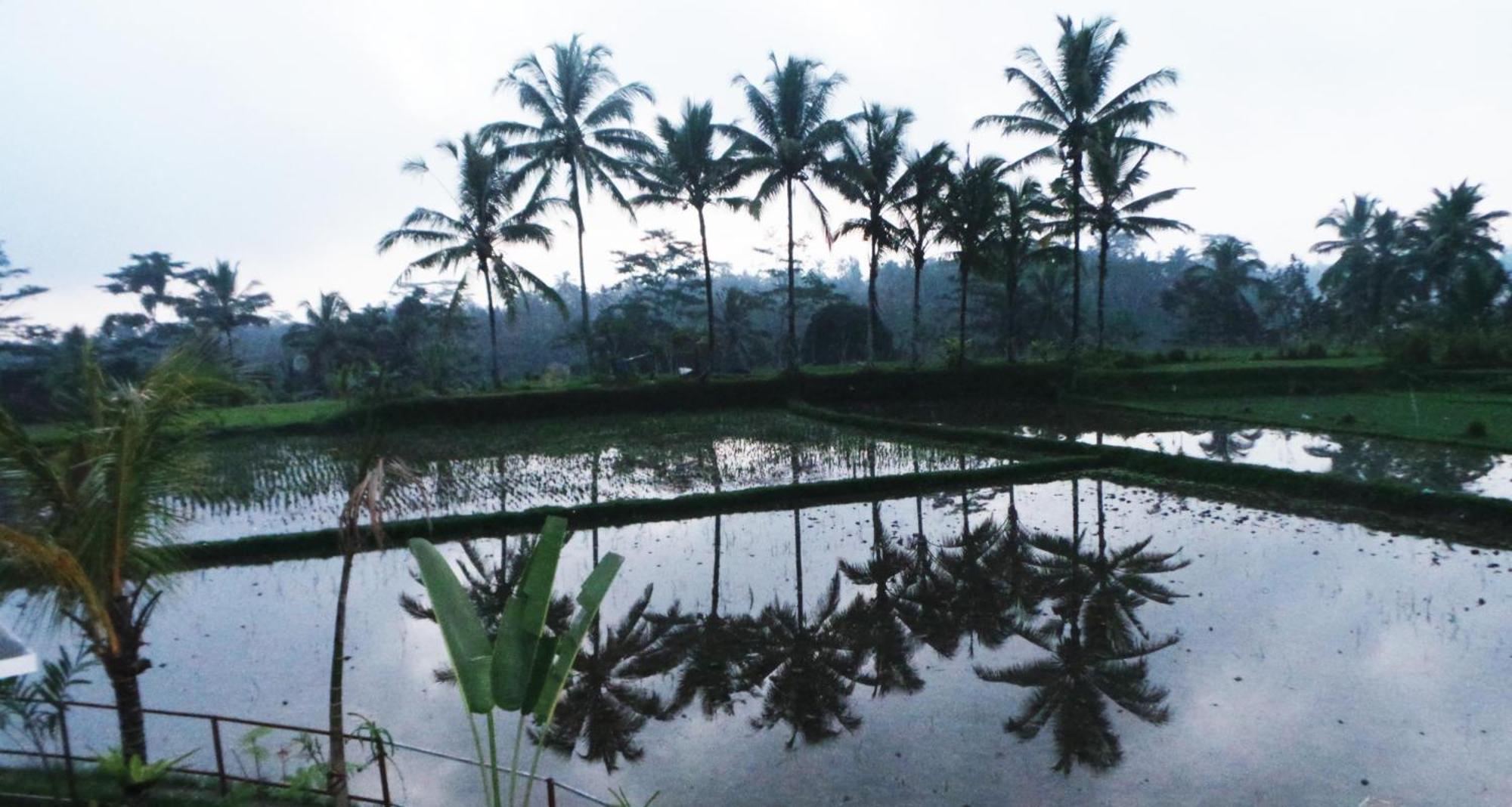 Villa Kemuning Tegallalang  Oda fotoğraf