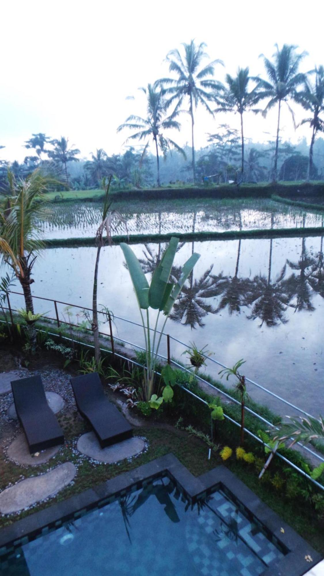 Villa Kemuning Tegallalang  Oda fotoğraf
